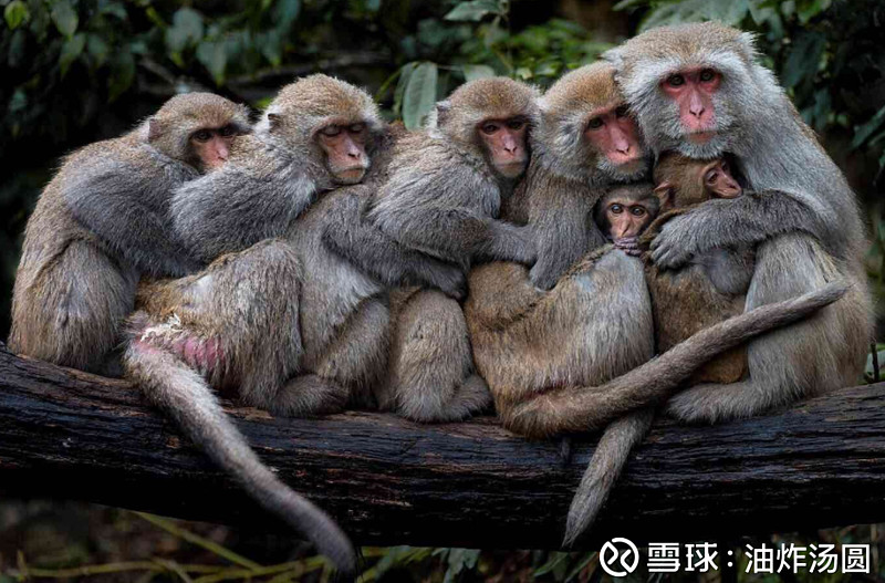 包含费耶诺德迎社区盾关键赛，集结日止住颓势，管理层满意，高层口径保持一致的词条